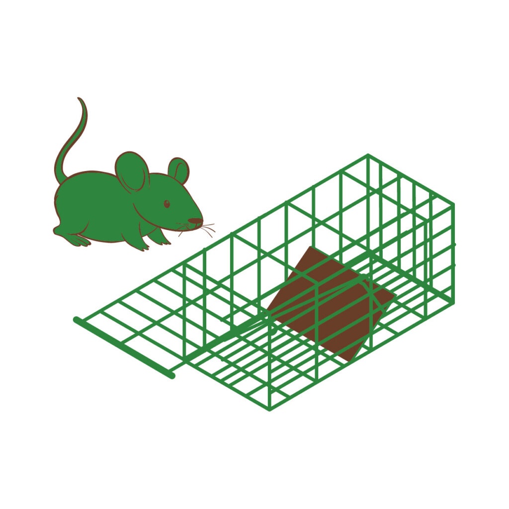 老鼠籠 icon